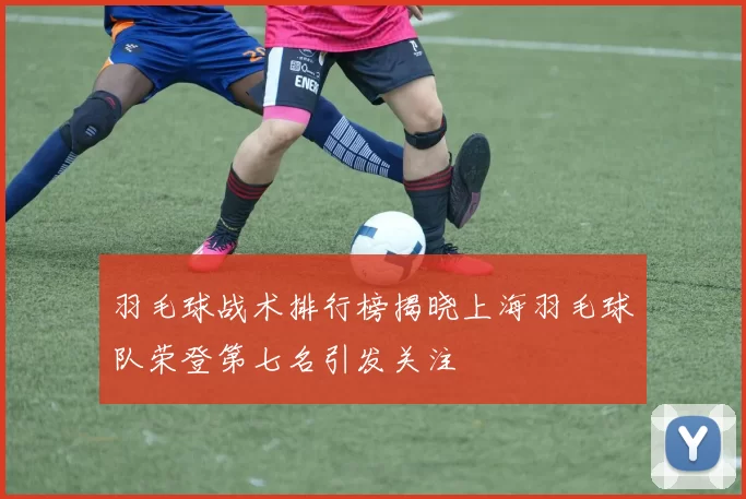 羽毛球战术排行榜揭晓上海羽毛球队荣登第七名引发关注