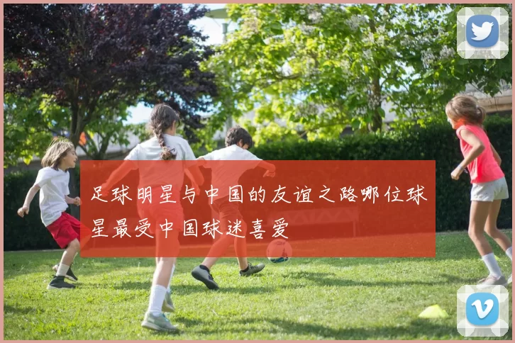足球明星与中国的友谊之路哪位球星最受中国球迷喜爱