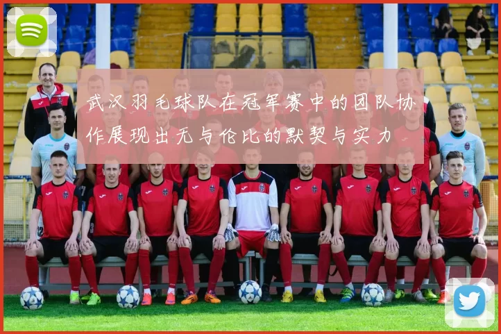 武汉羽毛球队在冠军赛中的团队协作展现出无与伦比的默契与实力