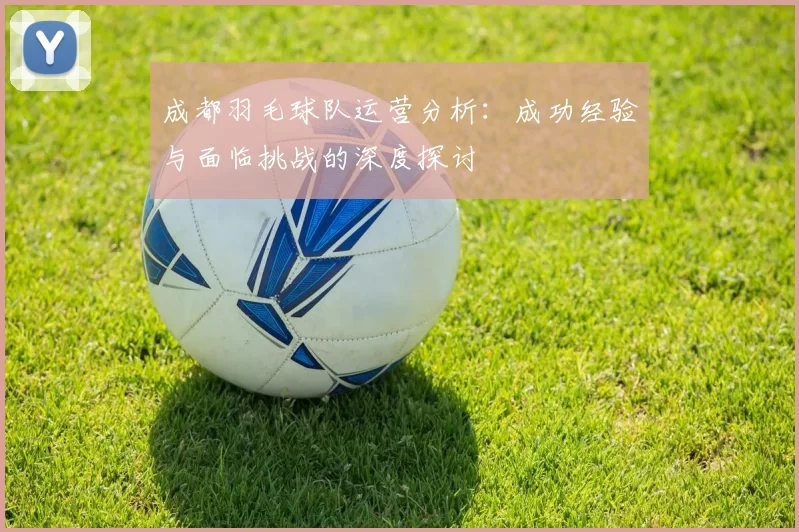 成都羽毛球队运营分析：成功经验与面临挑战的深度探讨