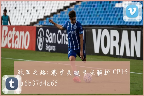 冠军之路:赛季关键节点解析 CP157a6b37d4a65