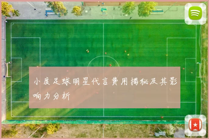 小度足球明星代言费用揭秘及其影响力分析