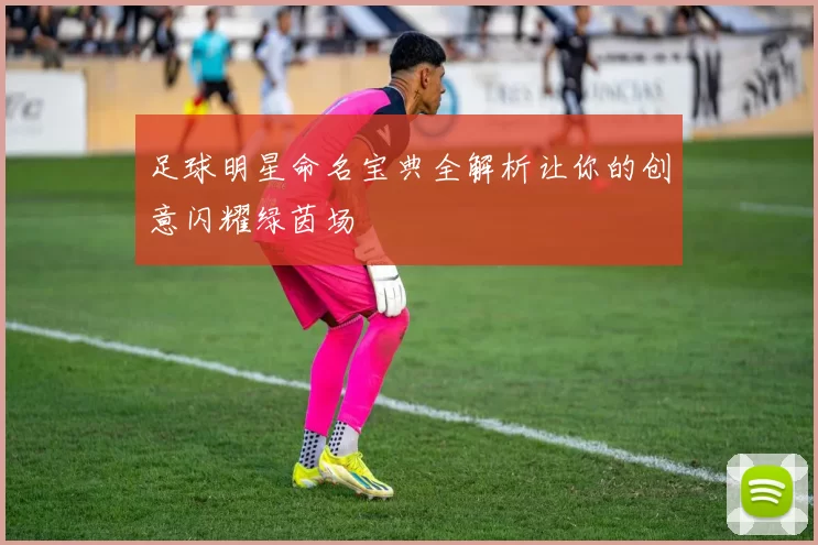足球明星命名宝典全解析让你的创意闪耀绿茵场