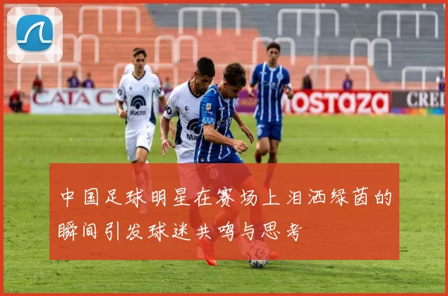 中国足球明星在赛场上泪洒绿茵的瞬间引发球迷共鸣与思考